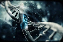 Nano có độc hại?