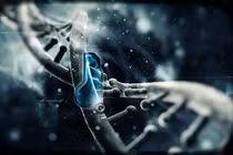 Nano có độc hại?