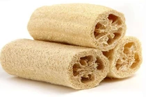 Quả mướp lợi tiểu, thông khí huyết