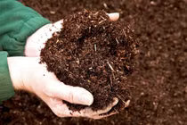 Ứng dụng công nghệ vi sinh giảm ô nhiễm môi trường