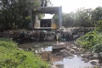 Dung dịch xử lý ô nhiễm mùi từ các nhà máy sản xuất bột cá