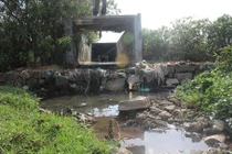 Dung dịch xử lý ô nhiễm mùi từ các nhà máy sản xuất bột cá