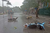 Phân biệt bão ảnh hưởng và bão đổ bộ