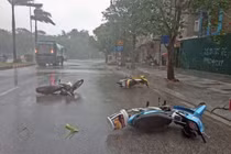 Phân biệt bão ảnh hưởng và bão đổ bộ