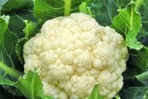 Súp lơ trắng bổ não