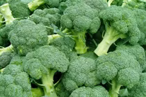 Súp lơ chữa dị ứng cơ địa