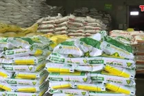  Đề xuất chuyển phân bón sang đối tượng chịu thuế GTGT