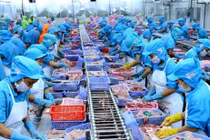 Xuất khẩu thủy sản 8 tháng năm 2020 đạt 5,2 tỷ USD