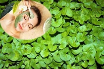 Trị sẹo rỗ bằng nguyên liệu tự nhiên