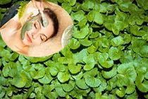 Trị sẹo rỗ bằng nguyên liệu tự nhiên