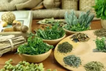 Tỳ, can, thận hư tổn gây chứng động kinh