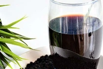 Những người nào không nên dùng nước đậu đen?