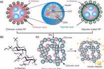 Công nghệ nano tạo bước tiến mới trong điều trị đái tháo đường
