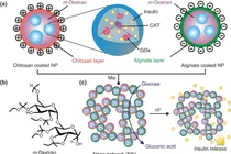 Công nghệ nano tạo bước tiến mới trong điều trị đái tháo đường