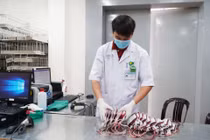 Lượng tiểu cầu dự trữ tại Bệnh viện Chợ Rẫy TPHCM chỉ còn 13 đơn vị