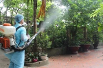 Nên phun thuốc diệt muỗi vào buổi sáng