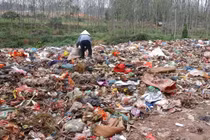 Môi trường ô nhiễm gây biến đổi gen