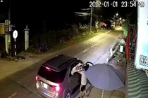 Hình ảnh ghi lại nhóm đối tượng dùng súng bắn điện trộm chó ở Củ Chi.