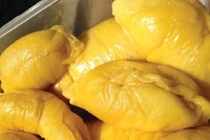 Sầu riêng tốt cho người suy nhược