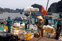 “Cứu” vịnh Hạ Long: Thí điểm chấm dứt dùng đồ nhựa