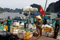 “Cứu” vịnh Hạ Long: Thí điểm chấm dứt dùng đồ nhựa