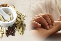 Thuốc Đông y điều trị viêm gan mật