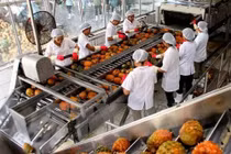 Nhập khẩu rau quả từ Trung Quốc giảm mạnh