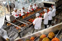 Nhập khẩu rau quả từ Trung Quốc giảm mạnh