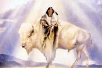 Nữ thần bò trắng linh thiêng của người da đỏ ở Mỹ