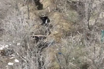 Cuộc cận chiến giữa tổ xung kích Luhansk và một chiến binh Ukraine