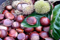 Máy tách vỏ quả dẻ