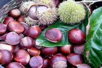 Máy tách vỏ quả dẻ