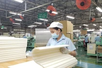 Chuyên gia muốn doanh nghiệp được chủ động hoạt động và phòng, chống Covid-19