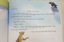 Sửa sách Tiếng Việt 1, Cánh Diều: Không thể sửa vội theo kiểu nhặt mấy hạt sạn