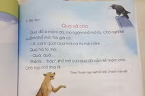 Sửa sách Tiếng Việt 1, Cánh Diều: Không thể sửa vội theo kiểu nhặt mấy hạt sạn