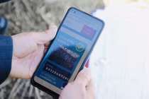 Dán tem truy xuất nguồn gốc cho hoa đào