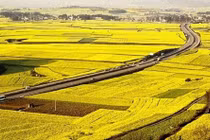 Đề xuất miễn, giảm 7.500 tỷ đồng thuế đất nông nghiệp