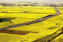 Đề xuất miễn, giảm 7.500 tỷ đồng thuế đất nông nghiệp