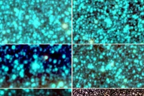 Kỳ thú cụm sao hình cầu mới trong thiên hà Milky Way