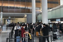 Đưa hơn 280 công dân Việt Nam từ Mỹ về nước an toàn