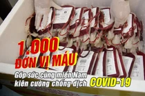 Chuyển 1.000 đơn vị máu vào TPHCM chống dịch
