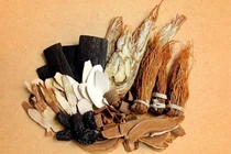 Hóa ứ thông tinh trị vô sinh do giãn tĩnh mạch thừng tinh