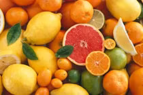 Flavonoid quan trọng đối với cơ thể 