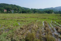 Lại bán dự án 'ma'