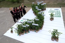 Vinamilk hoàn thành mục tiêu trồng hơn 1,1 triệu cây xanh cho Việt Nam