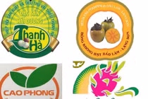 Điều kiện được bảo hộ chỉ dẫn địa lý