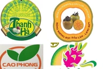 Điều kiện được bảo hộ chỉ dẫn địa lý