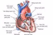  Sợ mổ vào năm tuổi
