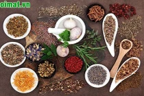 Các phương thuốc điều trị sỏi đường mật