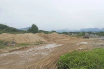 Đà Nẵng: Yêu cầu các cơ sở tập kết cát không đúng quy định chấm dứt hoạt động